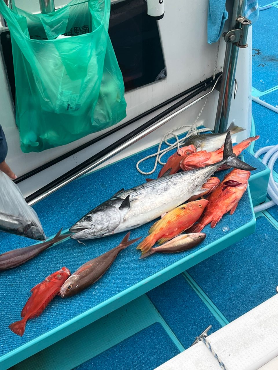 ちあきちさんの釣果 3枚目の画像