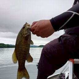 スモールマウスバス