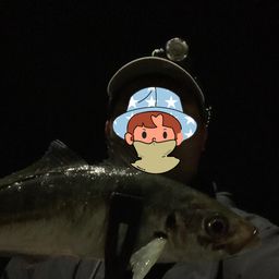 マアジ