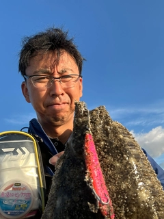 ヒラメの釣果