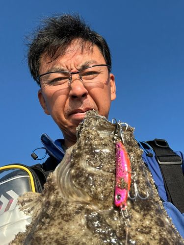 ヒラメの釣果