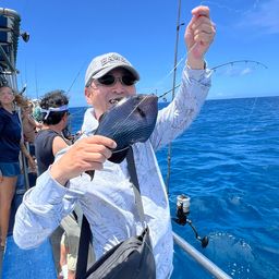 モンガラカワハギ