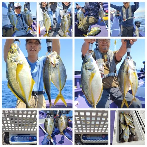 シマアジの釣果