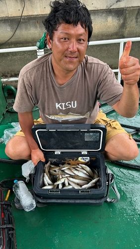 シロギスの釣果