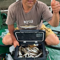 シロギス