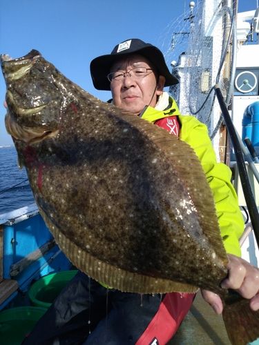 ヒラメの釣果