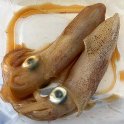 マメイカ