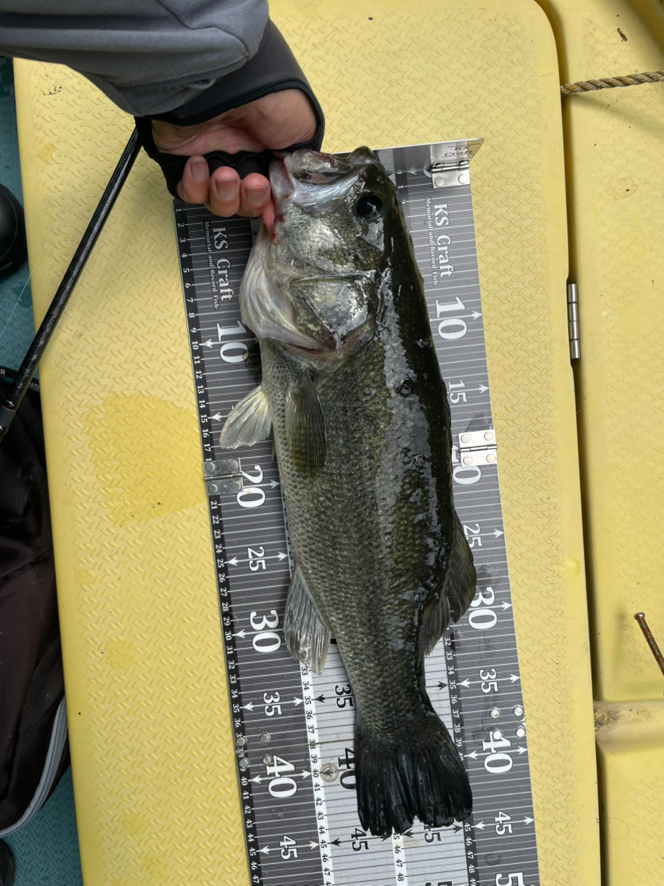 SHIMANO 21ゾディアス (パックロッド) S64L-5の最安値・インプレ