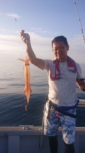 シロイカの釣果