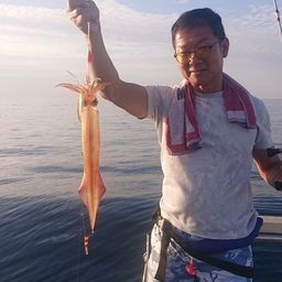 シロイカ