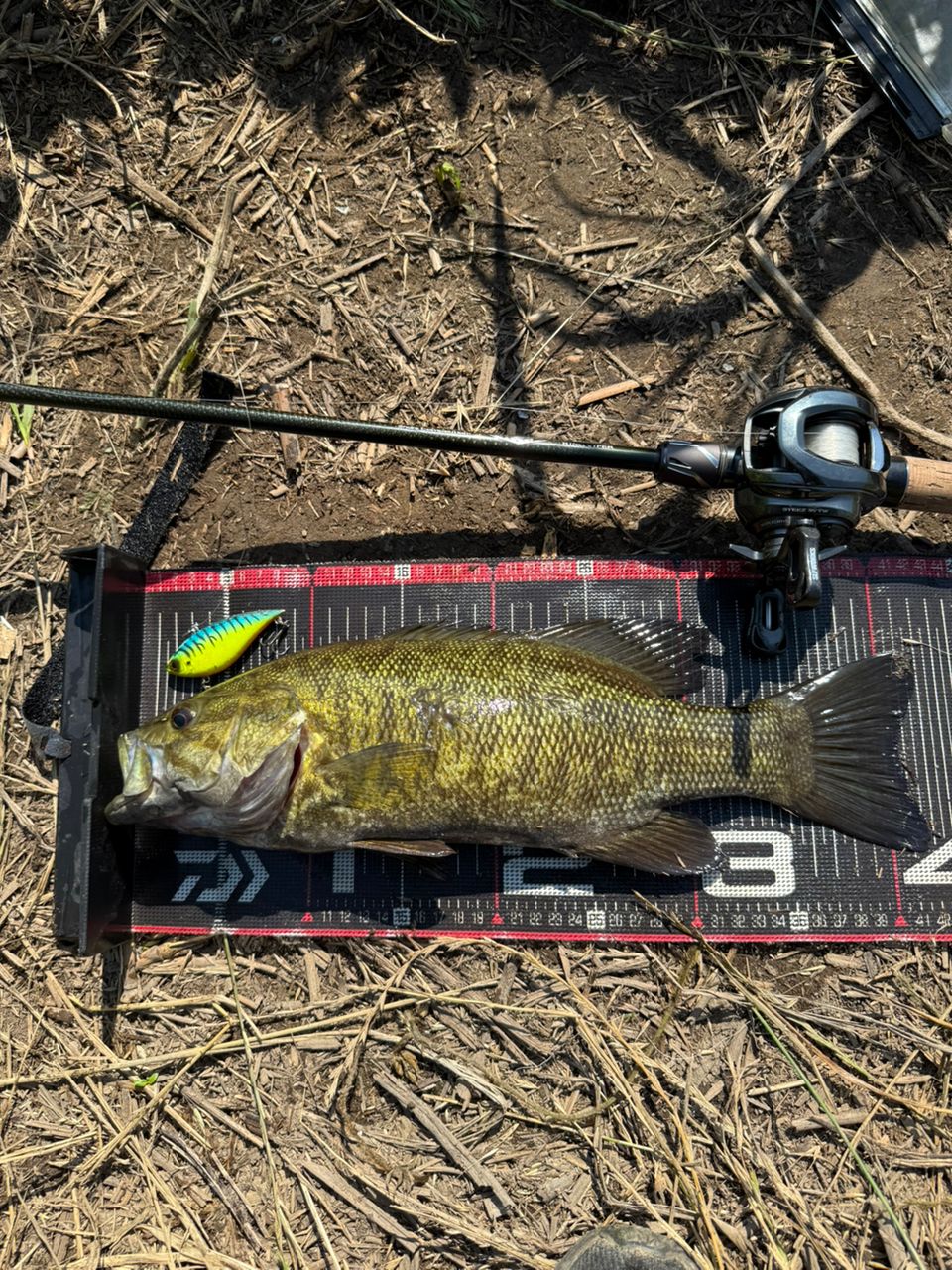 スモールマウスバス