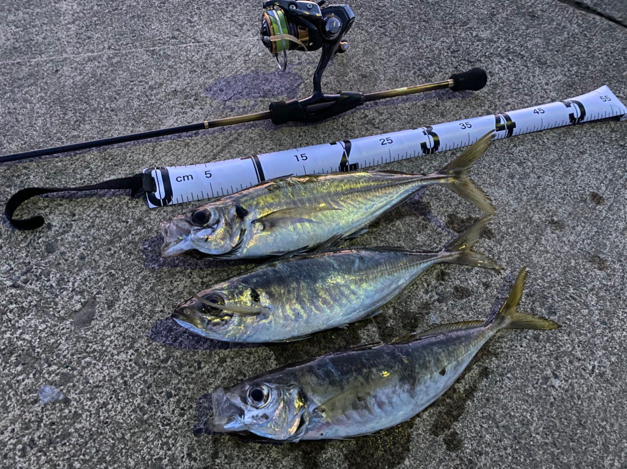 Amazon | シマノ(SHIMANO) アジングロッド 19 ソアレ BB