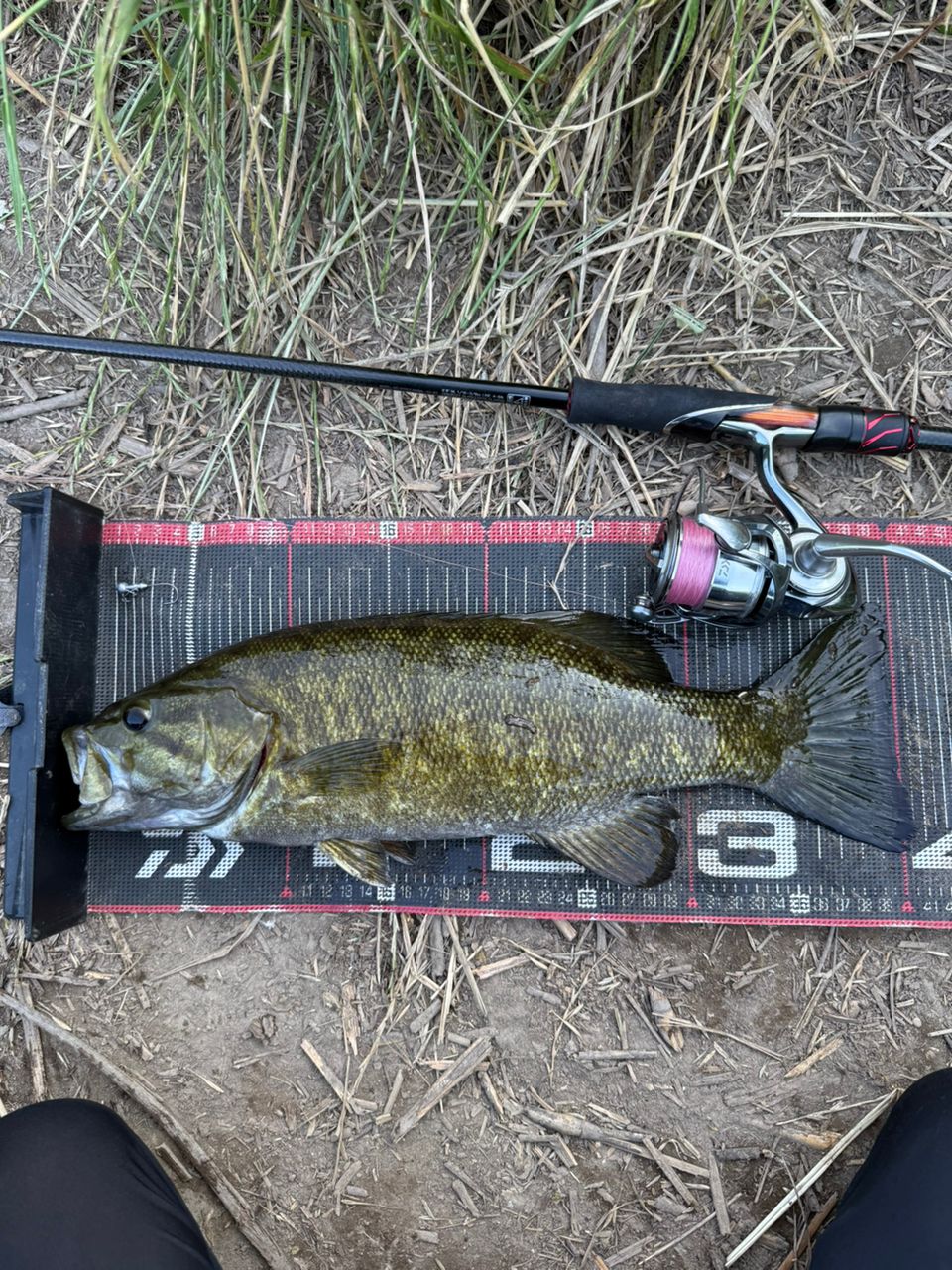 スモールマウスバス