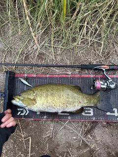 スモールマウスバスの釣果