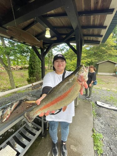 ニジマスの釣果