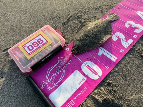 ヒラメの釣果