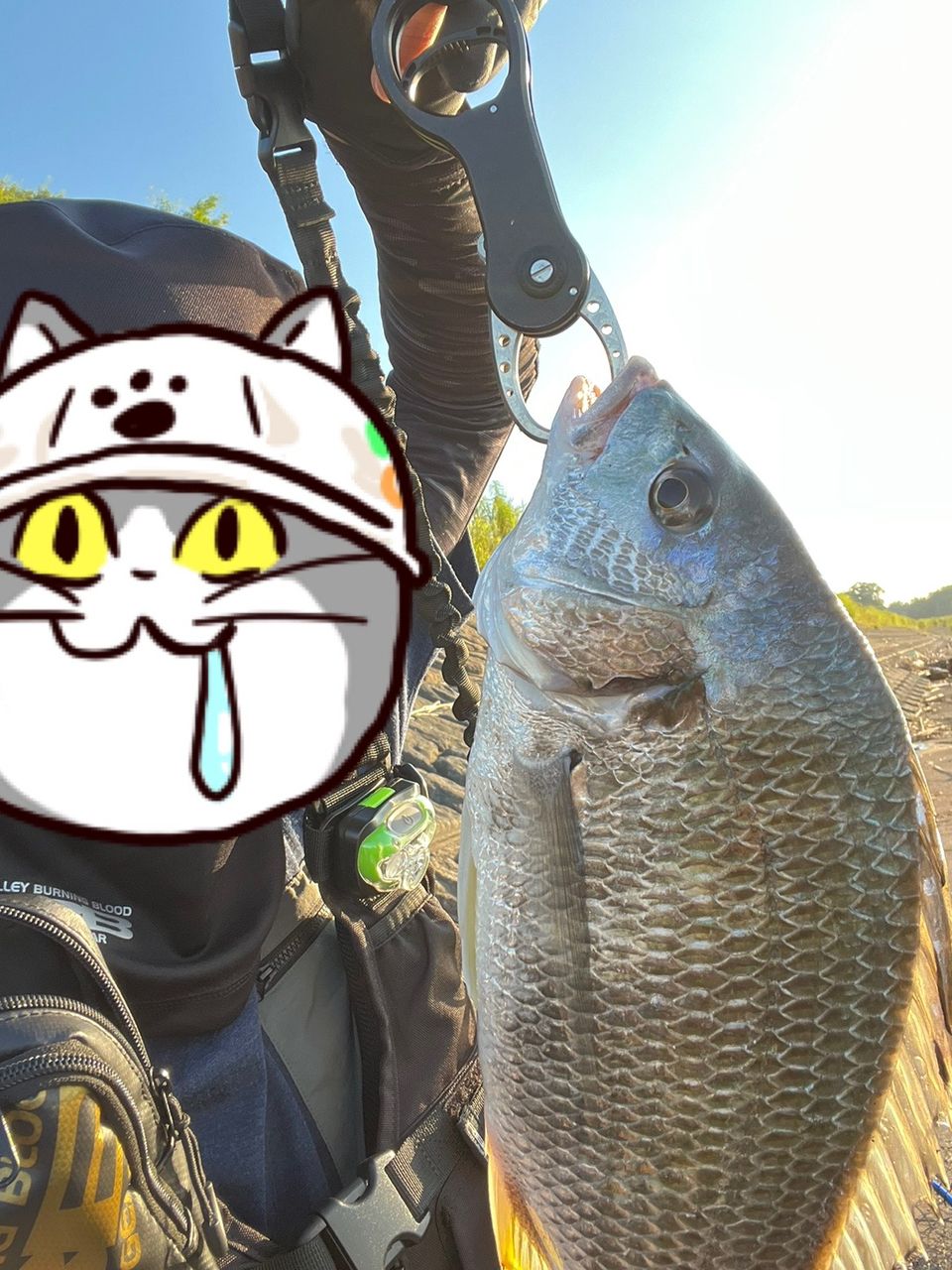 キビレ
