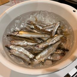 コアユ