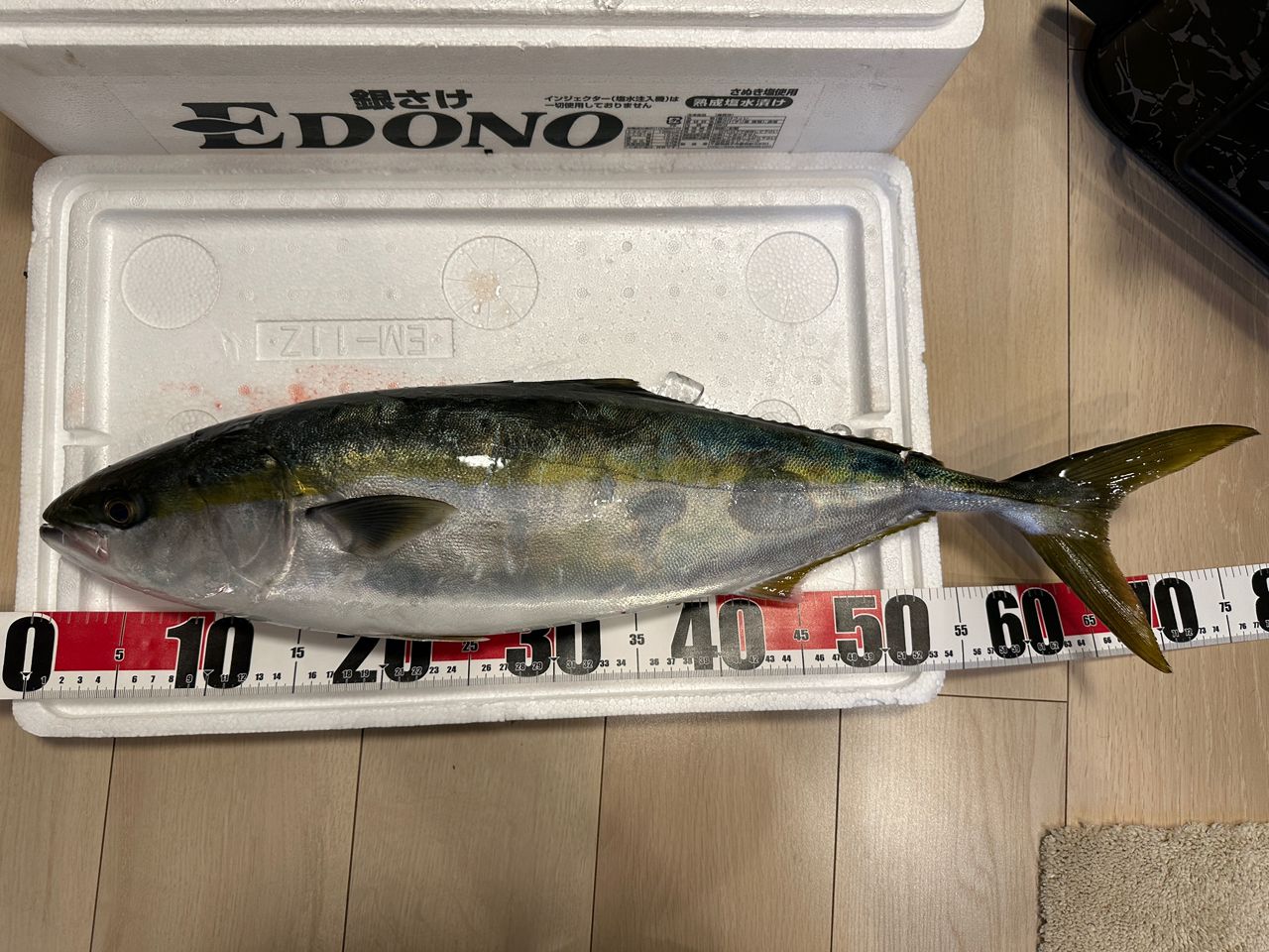 ワラサ