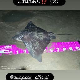 エイ