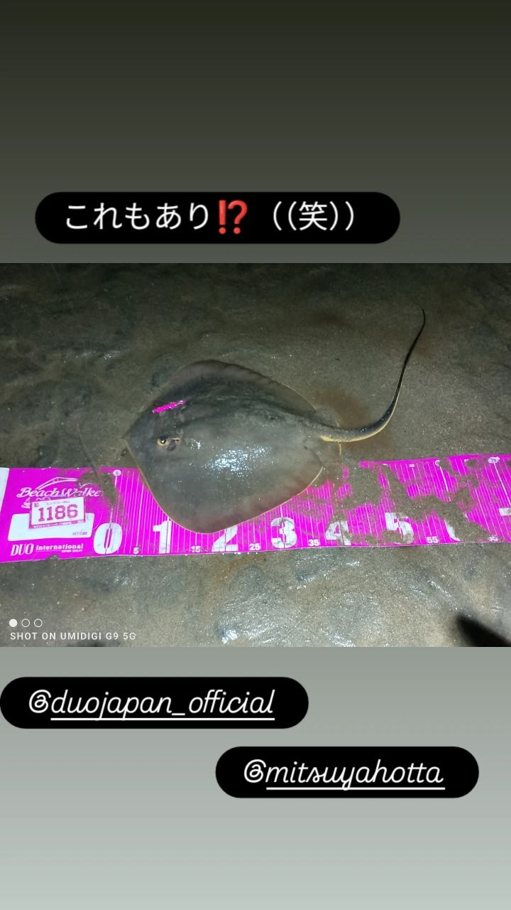 エイ