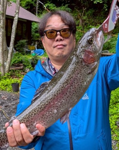 ニジマスの釣果