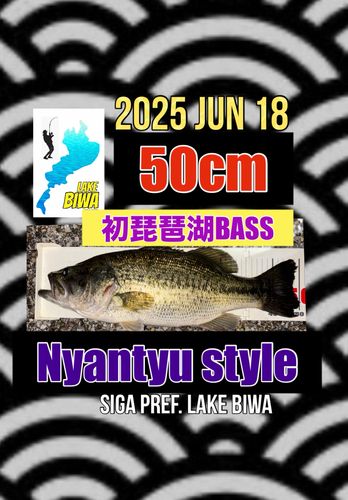 ラージマウスバスの釣果