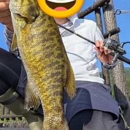 スモールマウスバス