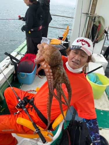 タコの釣果