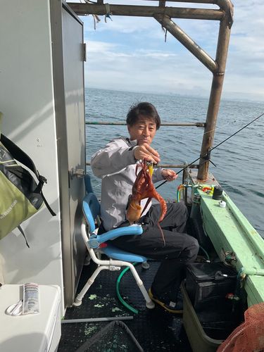 タコの釣果