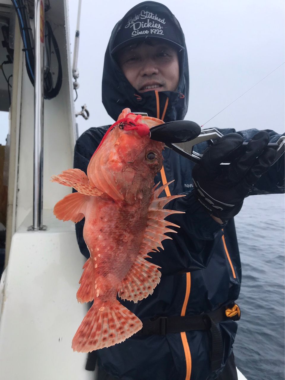 Golden Eagleさんの釣果 3枚目の画像