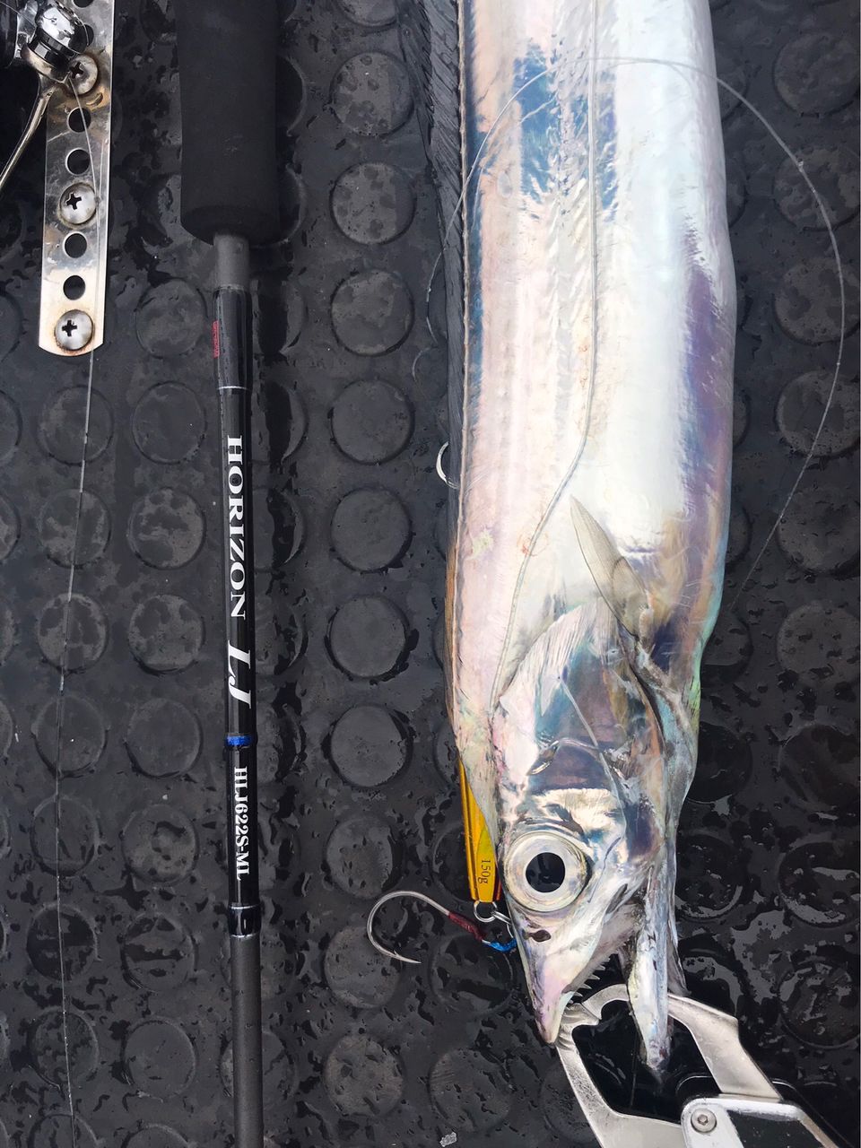 Golden Eagleさんの釣果 2枚目の画像