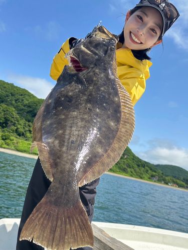 ヒラメの釣果