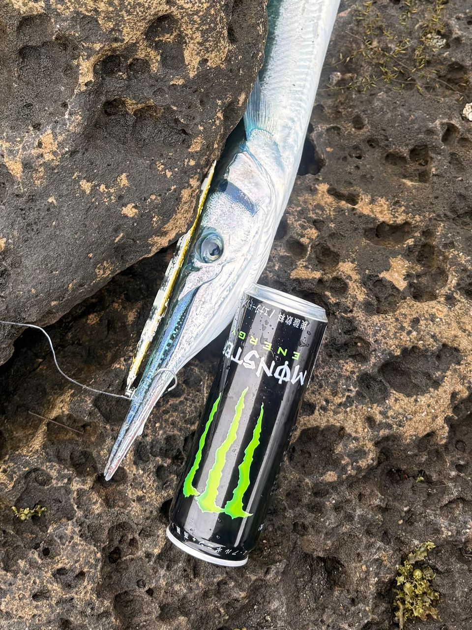 ZENAQ ミュートス ソニオ スピニングモデル 100M(RG)の最安値