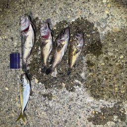 クロソイ