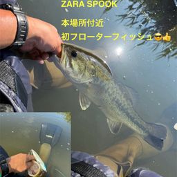 ラージマウスバス