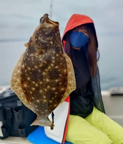 ヒラメの釣果
