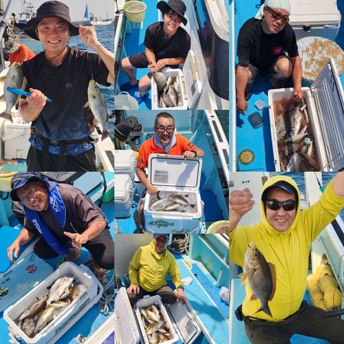 イサキの釣果
