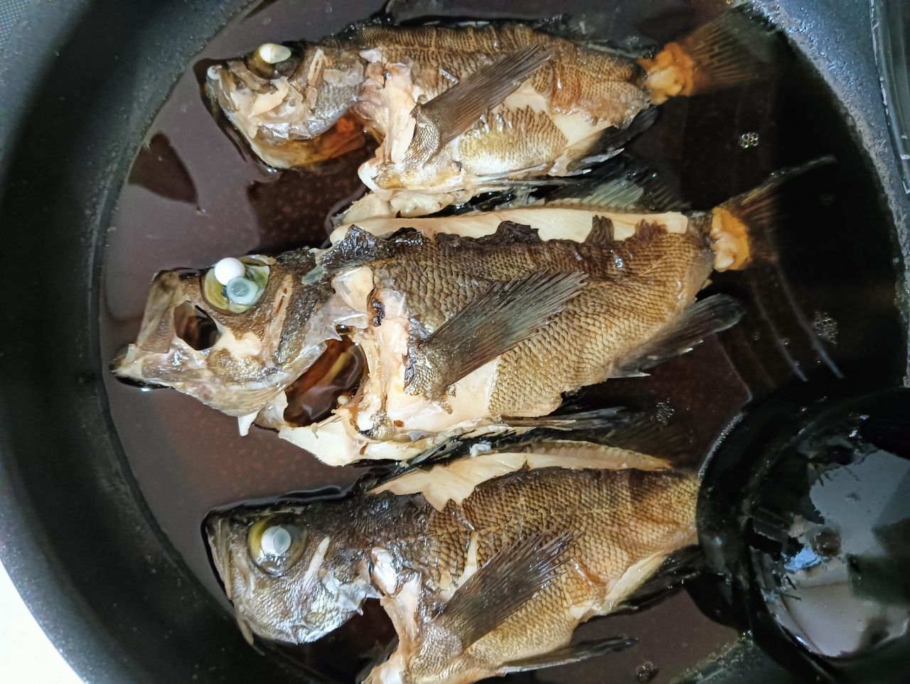クロメバル
