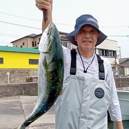 ワラサ