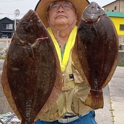 ヒラメ