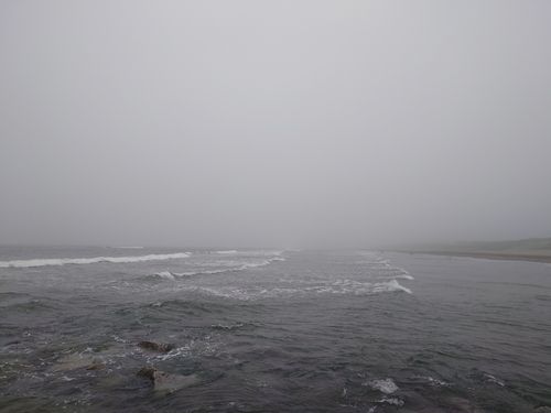 シタビラメの釣果