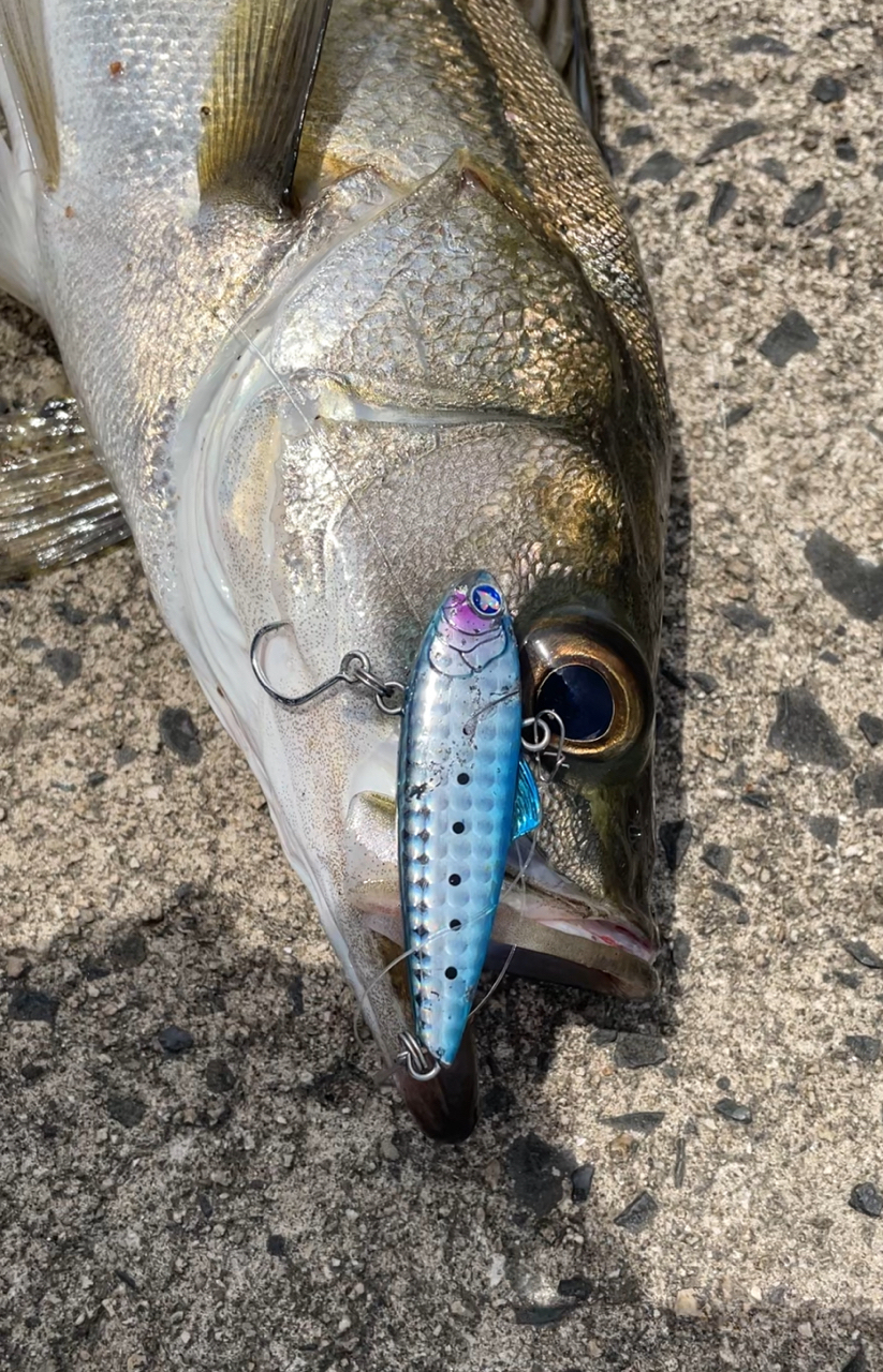 SHIMANO 20ルアーマチック MB S96M-4の最安値・インプレ・釣果