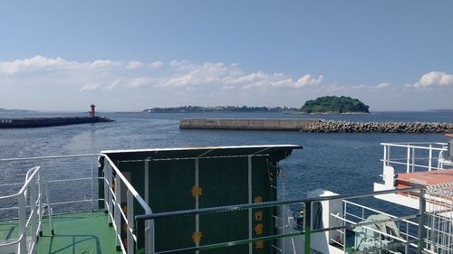イカの釣果