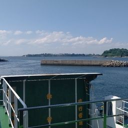 イカ