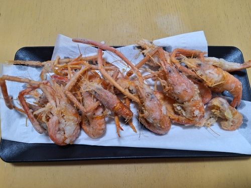 テナガエビの釣果