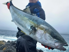 ヒラマサの釣果