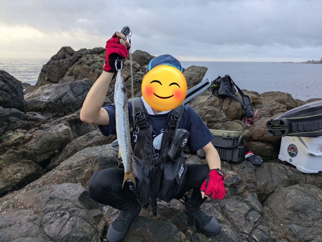 タイワンカマス