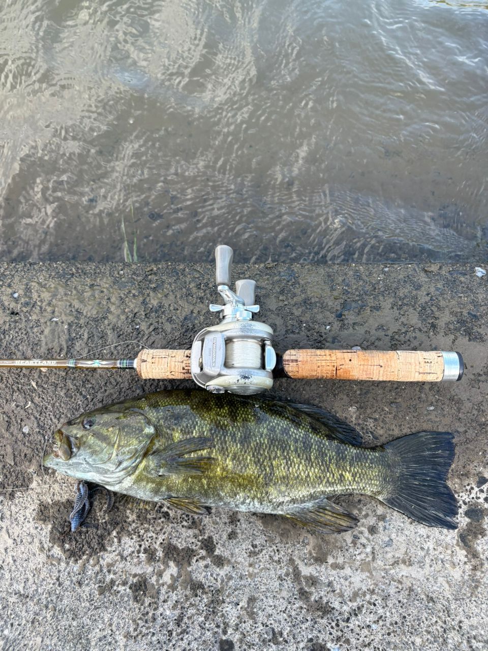 スモールマウスバス