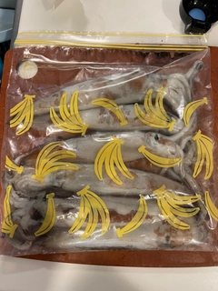 ケンサキイカの釣果